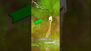 This video's make your day