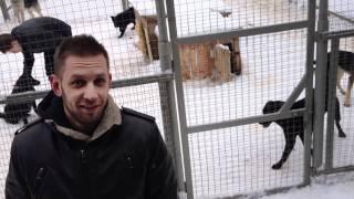 Источник Света (Арканум в гостях у Лесного Приюта)