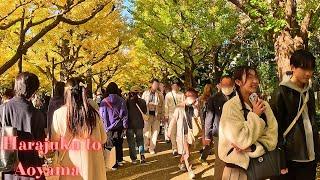 Harajuku to Aoyama Tokyo walking tour.【4K】11.2024