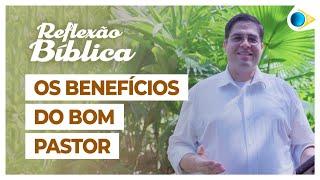 Os Benefícios do Bom Pastor | Reflexão Bíblica