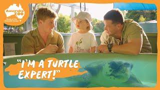 Grace tests her turtle feeding skills | Australia Zoo Life