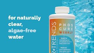 Phos Cure Weekly: Protect for Your Pool's Clarity from Algae