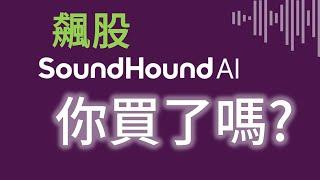 飆股 SoundHound 你買了嗎? #AI #投資 #期貨 #股票 #Fox時間波動能交易 #裸K #soundhound