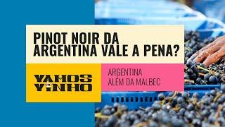 Pinot Noir da Argentina é mais barato que da França, mas vale a economia?