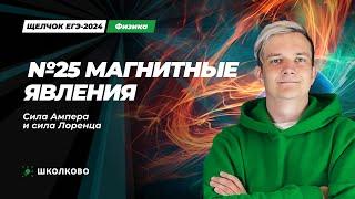 Все задачи на магнитные явления. Сила Ампера и сила Лоренца | №25 на ЕГЭ 2024 по физике