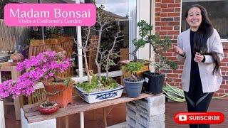 Madam Bonsai Visits a customers garden