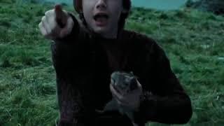 Harry potter I am Ron Weasley