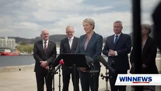 Plibersek's "No New Extinctions" promise under threat | Eloise Carr on WIN News Hobart