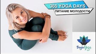 Питание молодости. 365 YOGA DAYS