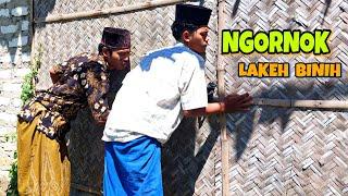 MADURA LUCU.//NGORNOK(NGINTEP)