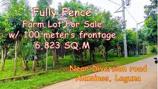 6,823 SQM. FARM LOT FOR SALE (Prop# 181), ALAMINOS, LAGUNA