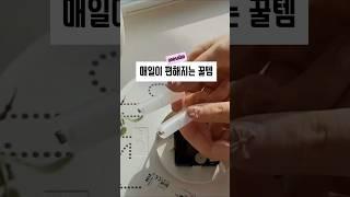 매일이 편해지는 꿀템3가지