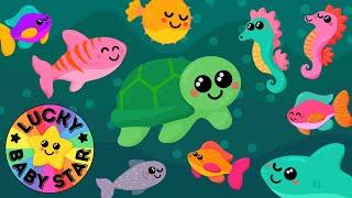 Under the Sea Safari  Baby Sensory Ocean Adventure with Colourful Sea Creatures 