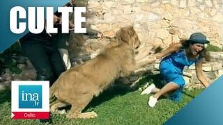 1997 : Marie Ange Nardi attaquée par un lion en direct | Archive INA