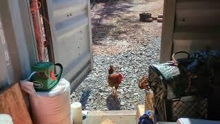 Where to place on farm storage