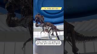 국립과천과학관 '세계 최대 티라노사우루스" 특별전| By 전현수 기자