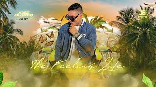 The Felling Life - José Blanco - Live Set 2022