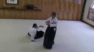 Aikido - Wendy Whited Sensei - Aikido Seminar at Aikido Eastside