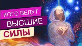 КОГО ВЕДУТ ВЫСШИЕ СИЛЫ?  МАРА БОРОНИНА.