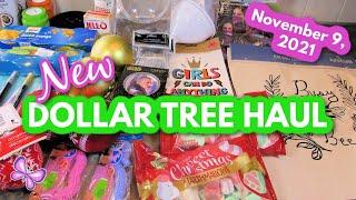 DOLLAR TREE HAUL!  November 9, 2021 #LeighsHome