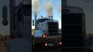 351 peterbilt evil  cold start!!!!