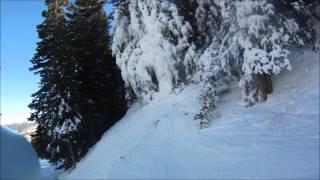 Snowboarder VS tree