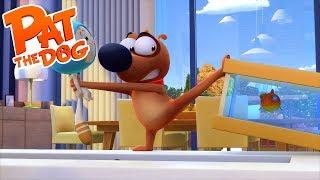 Pat the Dog - Dogfish (S01E24) Full Episode in HD