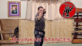 Bujinkan Esstential Stances, Stance Flow