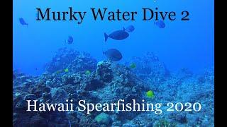 Murky Water Dive 2 | Hawaii Spearfishing 2020