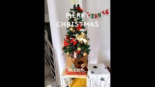 다소니에 겨울이 찾아왔어요! #메리크리스마스 #기독국제학교 #베들레헴교회  #merrychristmas