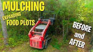 Skid Steer Mulching - Clearing Food Plots in Thickets