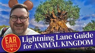 Lightning Lane Strategy for Animal Kingdom: Our Best Tips for Multi Pass at Walt Disney World