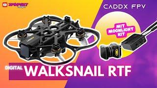 Bester Cinewhoop für Walksnail Piloten? Caddx GoFilm 20 Review 