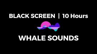 BLACK SCREEN  10 hours of WHALE SOUNDS for deep sleep