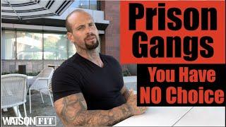 Prison Gangs- You Have No Choice