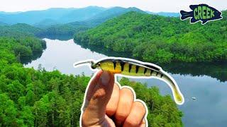 Fishing in the Southern Appalachian Mountains