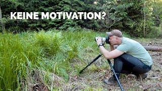 Nach der Arbeit im Wald fotografieren?