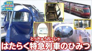 【のりもの図鑑】はたらく特急列車のひみつ（空港特急ラピート・特急ラビュー・ロマンスカー）