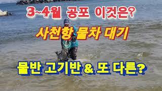 ●사천항●물반고기반●4월투망공포의달●1톤물차대기●투망던지는방법●cast net●