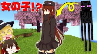 【マイクラ】女の子になったエンダーマンとイチャイチャできる神世界！？【ゆっくり実況】【配布マップ】