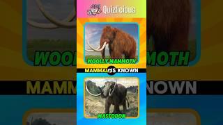 Which extinct mammal is known as the ancestor of modern elephants? #quiz #animals #facts #riddles