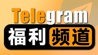 还找不到片？10个顶极Telegram福利频道推荐！| 海量成人内容推荐 | 老司机精选 | 无限芝士