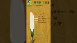 Nutritional Bliss in Every Grain: Basmati Rice by Geo360 Agro Industries #rice #export #longrice