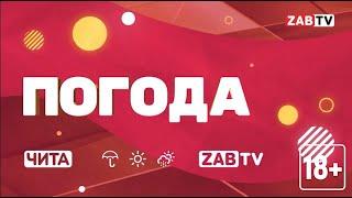 Прогноз погоды на 11 октября 2024 года