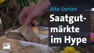 Alte Sorten: Saatgutmärkte werden immer beliebter | Abendschau | BR24