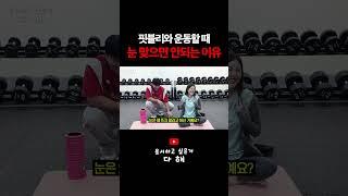 핏블리와의 눈맞춤을 조심해야하는 이유
