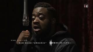 The Vault Session: “Organic”