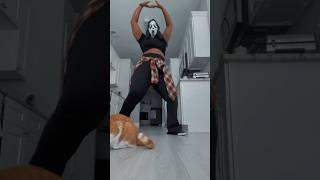 Day 13| Making Turn Up choreography spooky dc: @turnupwithtanci  #catmomlife #cats #turnup