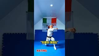 해외 태권도 현실 체감