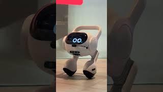 Don't Underestimate LG's Cute Robot for Home Monitoring